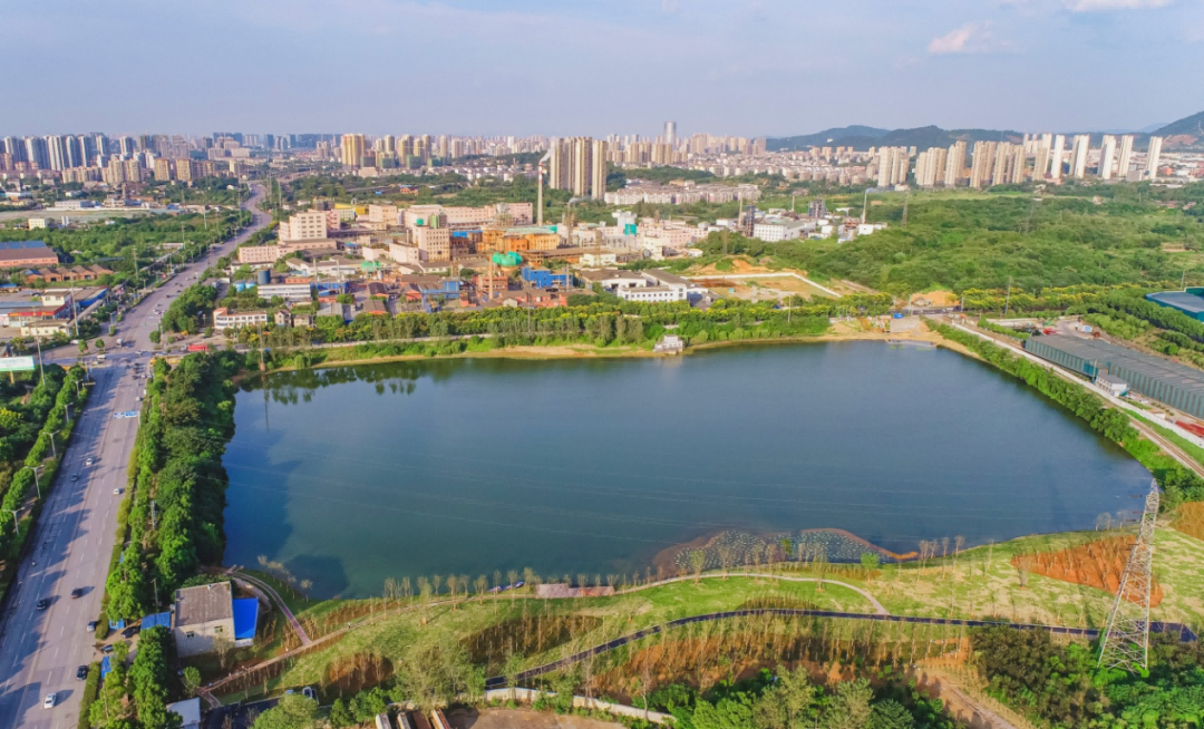 我公司承接地銅陵市荷花塘水環境污染綜合治理項目受到安徽省生態...