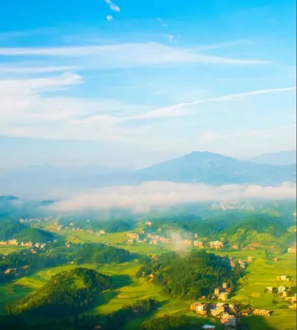 生態(tài)環(huán)境政策丨《生態(tài)保護(hù)補(bǔ)償條例》公布